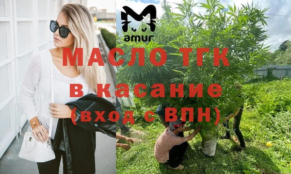 сатива Арсеньев