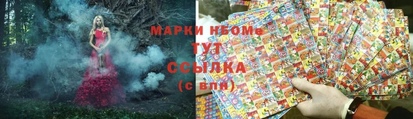 сатива Арсеньев