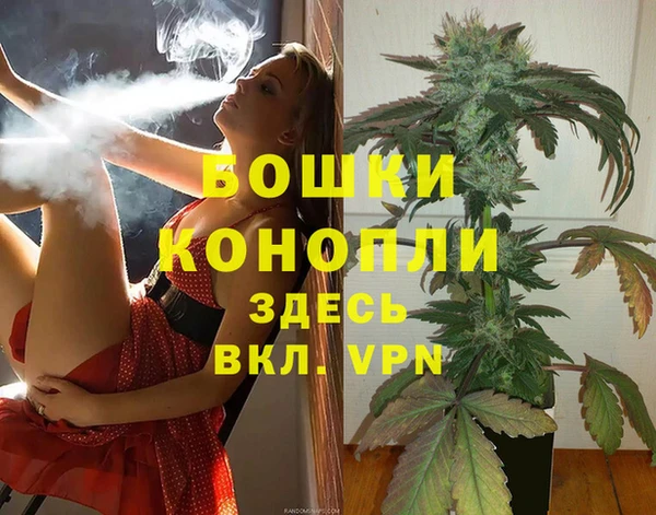 сатива Арсеньев