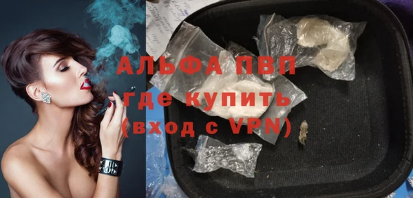 сатива Арсеньев