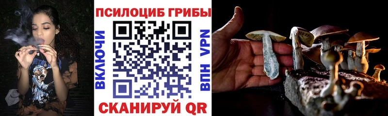 Псилоцибиновые грибы MAGIC MUSHROOMS  Купить где  Уржум 
